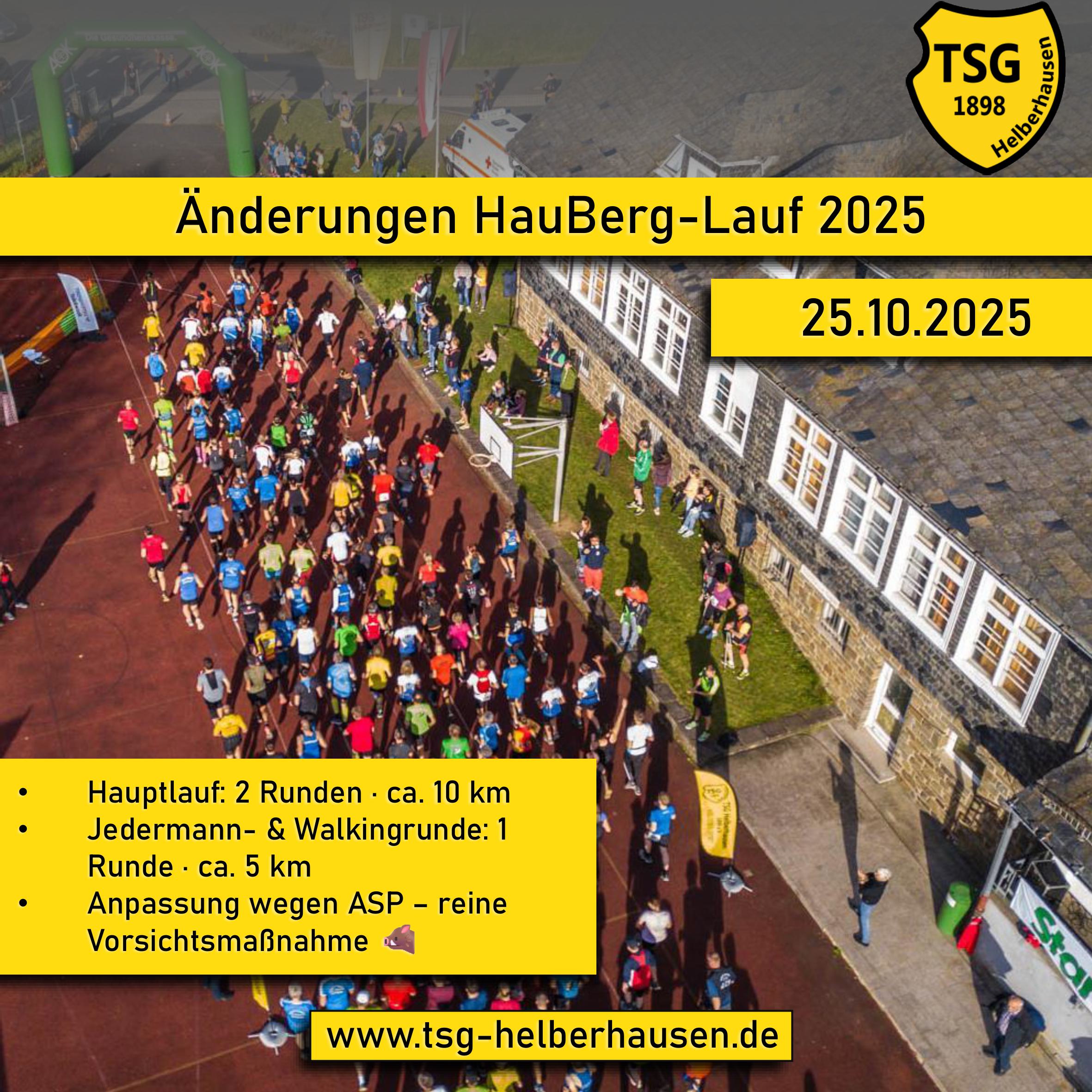 Änderungen HauBerg-Lauf 2025